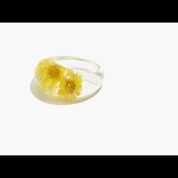 Madewell dried flower glass ring - Picture 2 of 2
